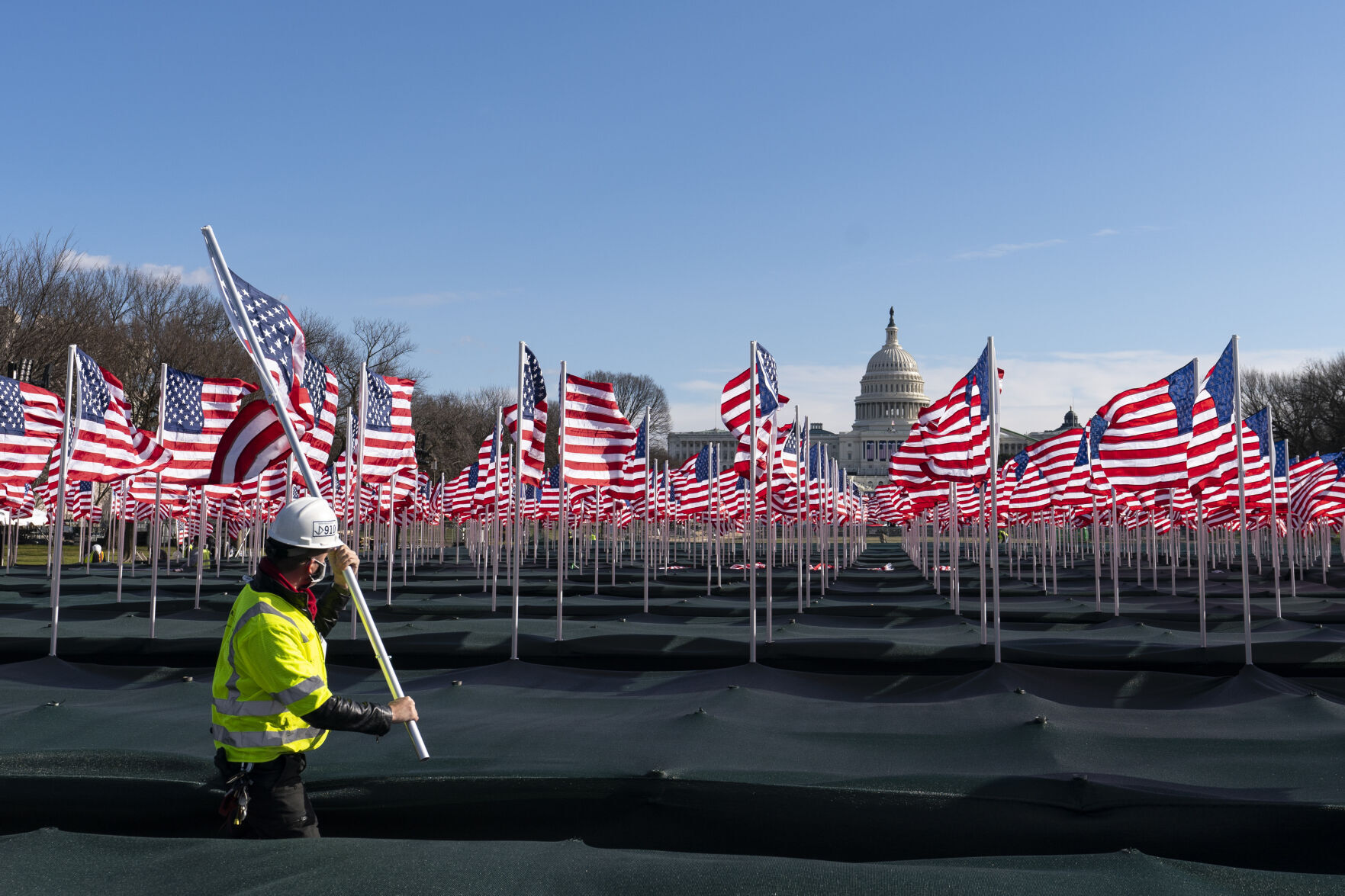 Biden Inauguration Flags